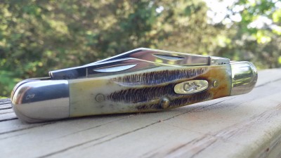 20170608_081740.jpg