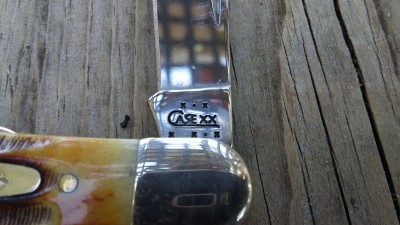 20170608_082204.jpg