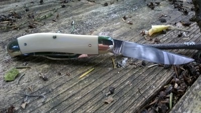 WP_20170609_008.jpg