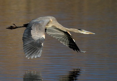 LRM_EXPORT_20170316_105659.jpg