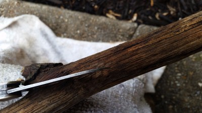 20170623_095211.jpg