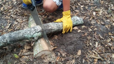 20170626_145315.jpg