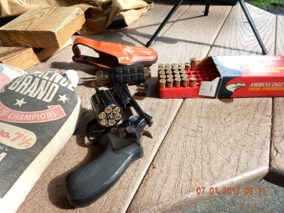 Model 19