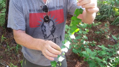 20170702_092300.jpg