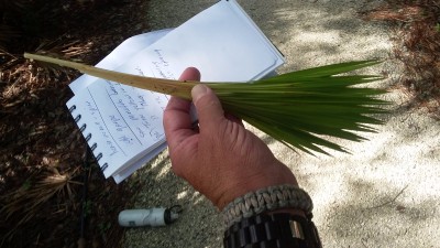20170702_095435.jpg