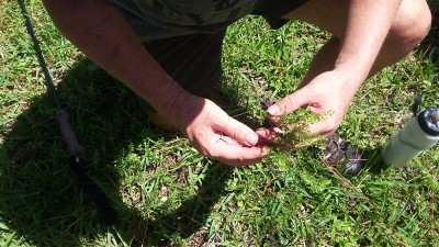 20170702_115507.jpg