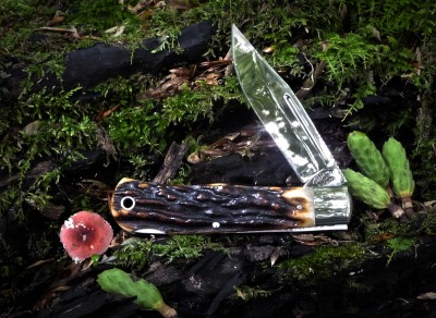 2012-Tuna-Valley-Lockback-Clip-Burnt-Stag.jpg
