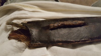 20170624_202321.jpg