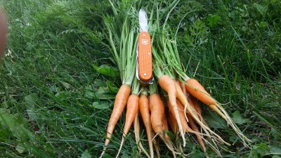 20170706_155221.jpg
