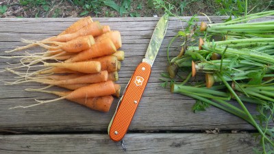 20170706_155658.jpg