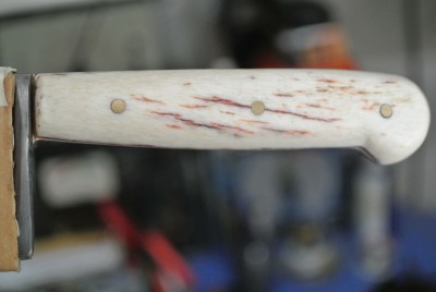 DSC_2575.JPG