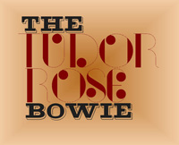 tudor rose bowie 250.jpg
