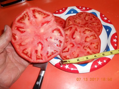 DSCN3513.JPG