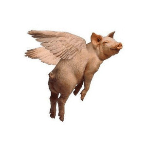 WHEN PIGS FLY.jpg