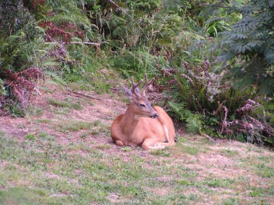PICT0005.JPG