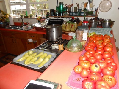 DSCN3522.JPG
