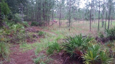 20170723_130951.jpg
