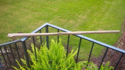 IMG_20170804_102935.jpg