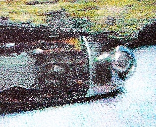 IMG-crop.jpg
