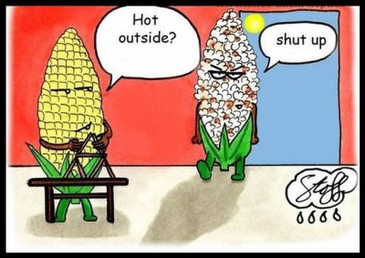 funny-corn-comic-cartoon.jpg