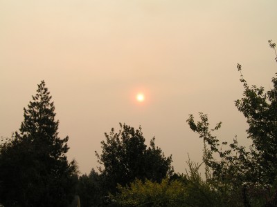 PICT0017.JPG
