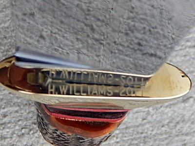 9. H. WILLIAMS 2017 BOWIE.jpg