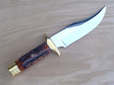 4. SAMBAR STAG (1200x900).jpg