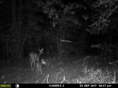 MFDC1625 (2).JPG (648.64 KiB) Viewed 4279 times A stroll in the dark.