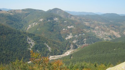 IMG_4947.JPG