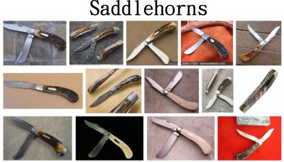 Saddlehorns Labeled.jpg