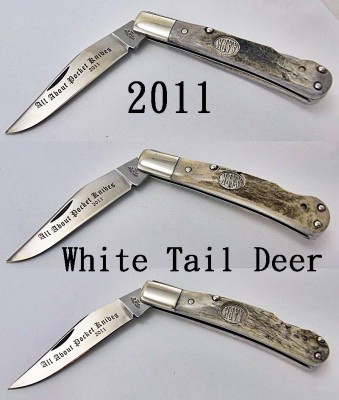 2011 American White Tail.jpg
