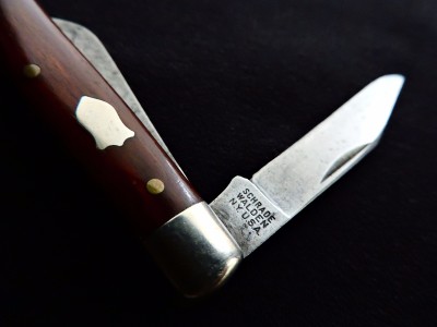 DSCN9696.JPG