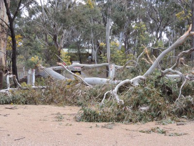DSCN6309.JPG