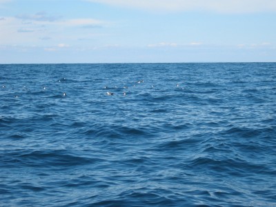 IMG_4990.JPG