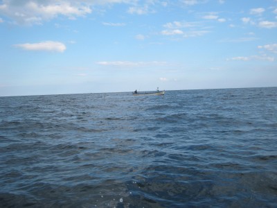 IMG_4994.JPG