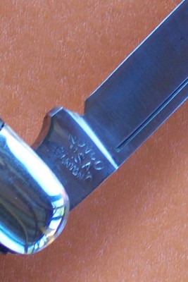 100_1584.JPG