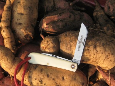 knife 010.JPG