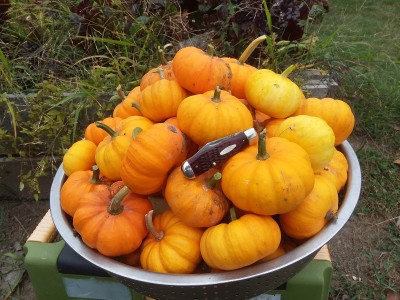 20171003_112807.jpg