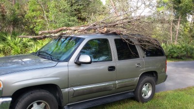 20171008_095156.jpg
