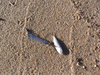 DSCF3037.JPG