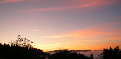 PICT0005.JPG