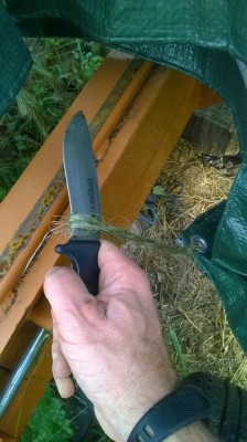 WP_20171028_001.jpg