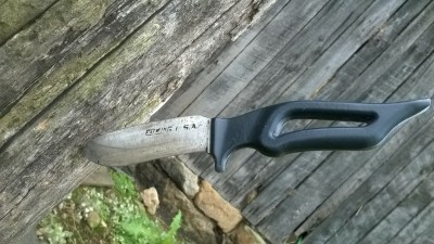 WP_20171028_006.jpg