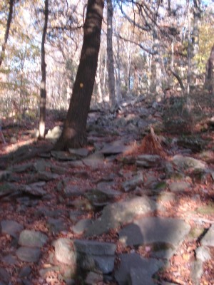 DSC04692.JPG
