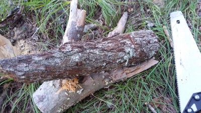 20171030_091748.jpg
