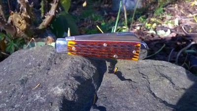 WP_20171024_008.jpg