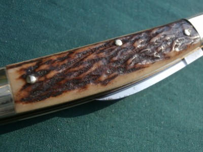 PB100037.JPG