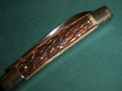 PB030002.JPG