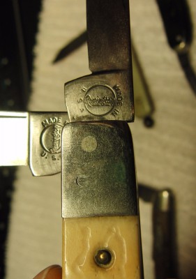 CIMG5904.JPG