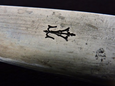 DSCN9867.JPG